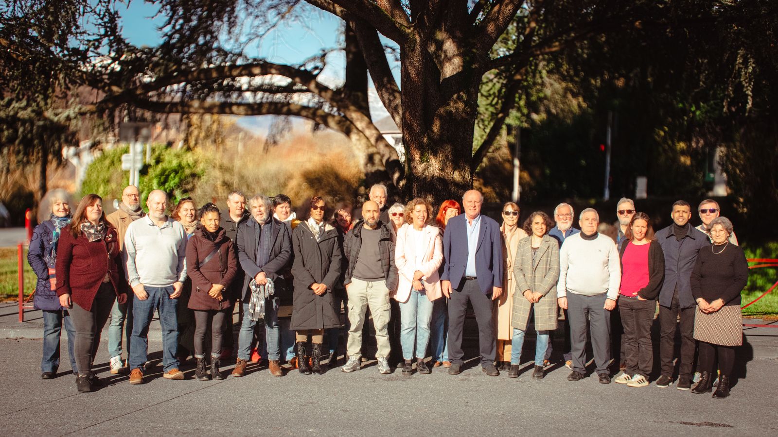 Photo de groupe — belle lumière naturelle, grand arbre